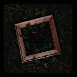 跟胡桃做爱的视频
